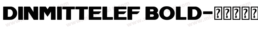 dinmittelef bold字体转换